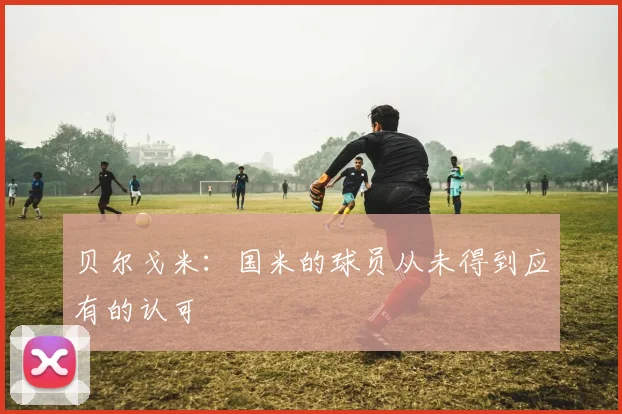 贝尔戈米：国米的球员从未得到应有的认可